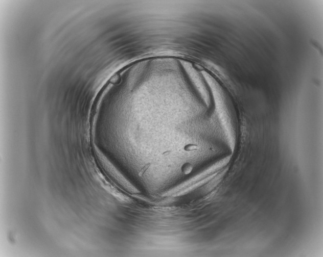 X0000099541236200805301454