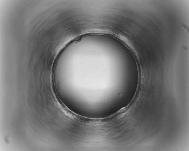 X0000099541237200805301454