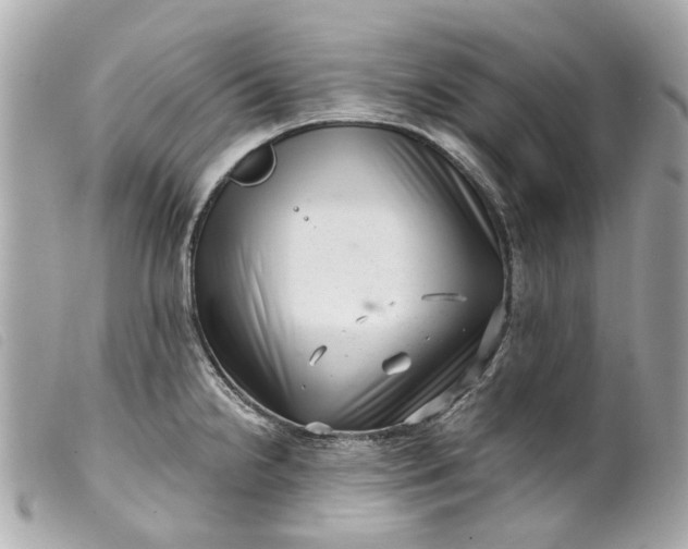 X0000099541238200805301454