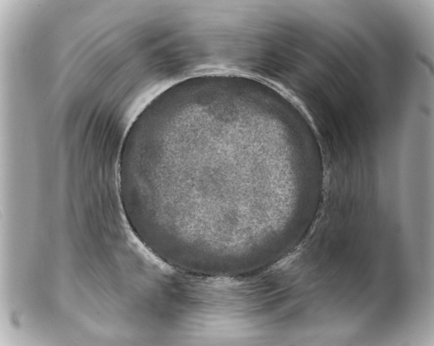 X0000099541239200805301454