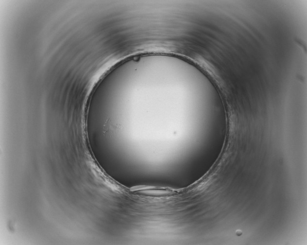 X0000099541240200805301454