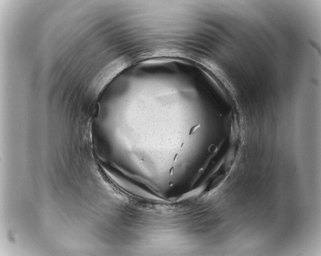 X0000099541241200805301454