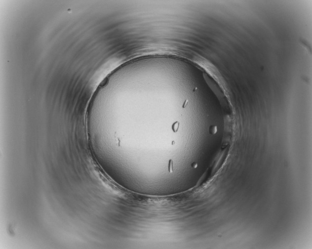 X0000099541242200805301454