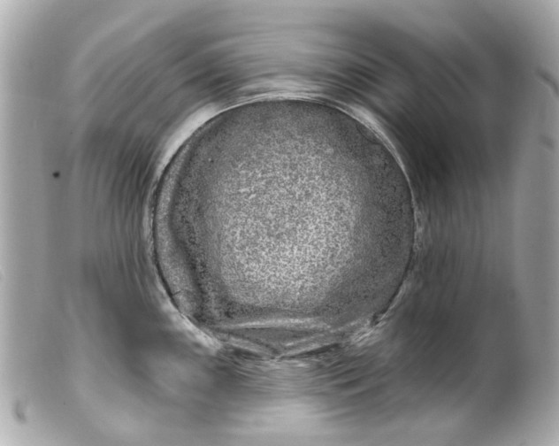 X0000099541243200805301454