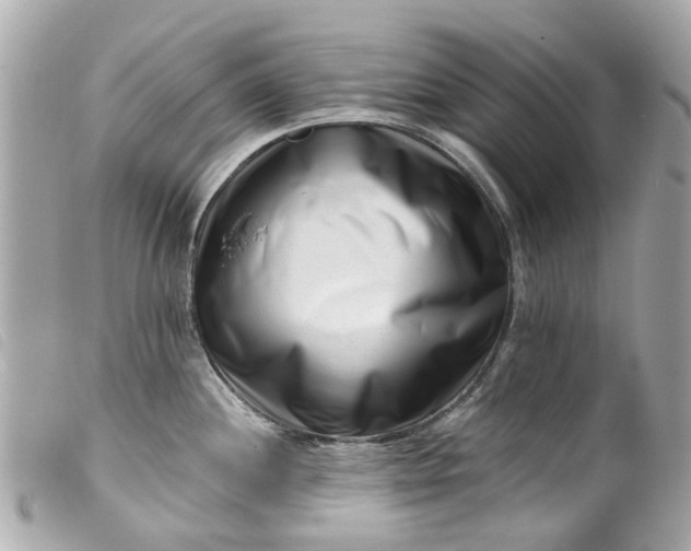 X0000099541244200805301454