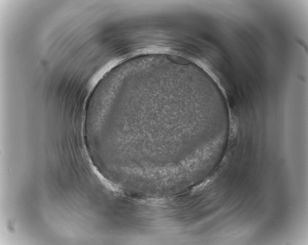 X0000099541245200805301454