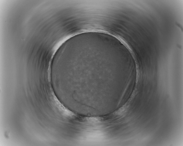 X0000099541246200805301454