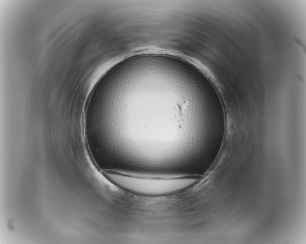 X0000099541247200805301454