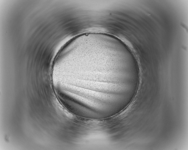 X0000099541248200805301454