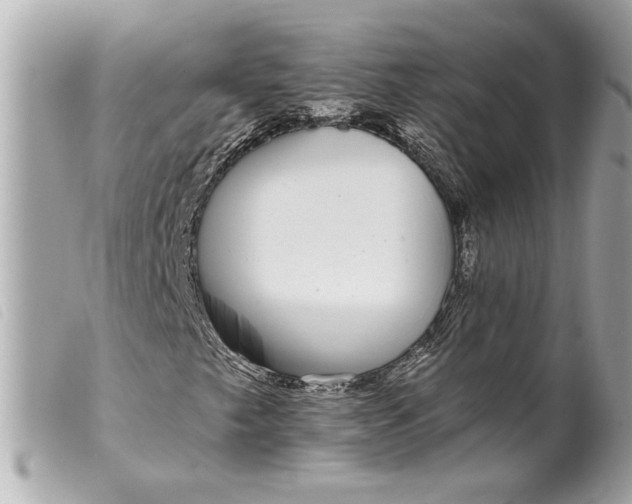 X0000099541249200805301453