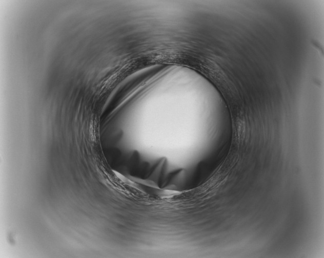 X0000099541250200805301453