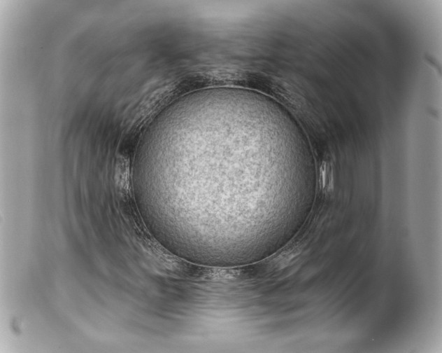 X0000099541251200805301453