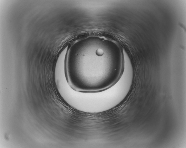 X0000099541252200805301453