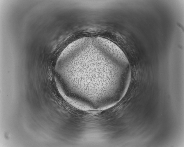 X0000099541253200805301453