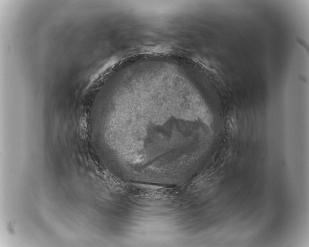 X0000099541254200805301453