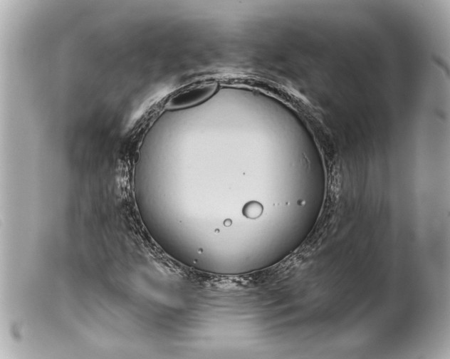 X0000099541255200805301453