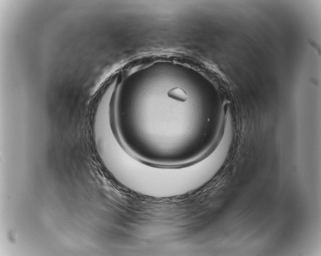 X0000099541256200805301453