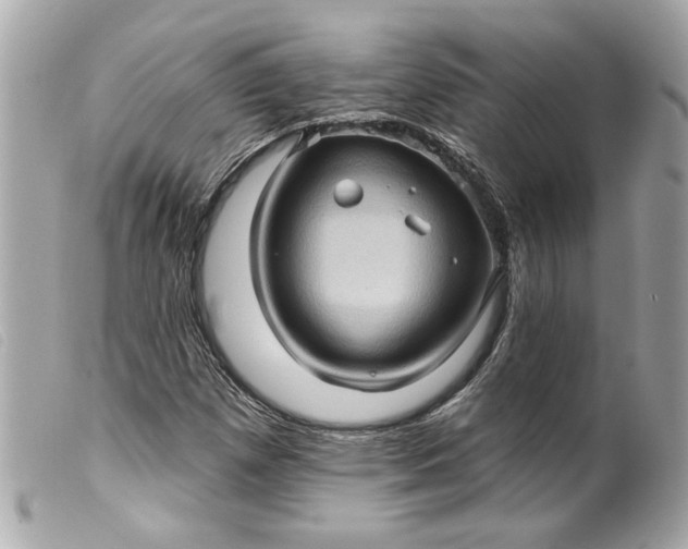 X0000099541257200805301453