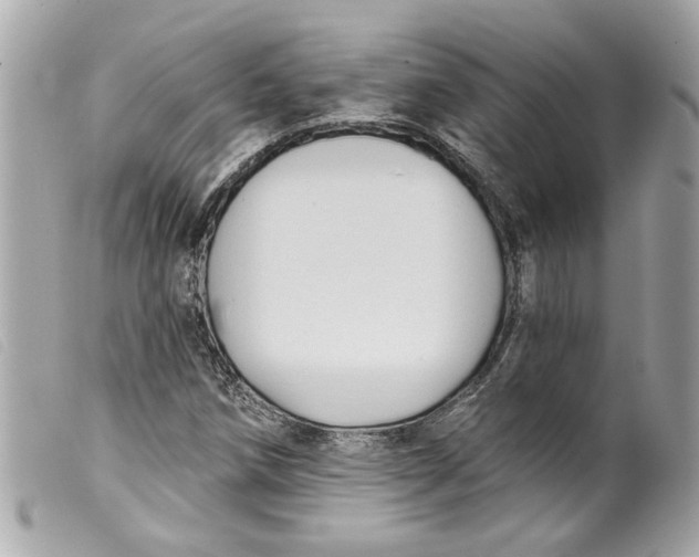 X0000099541258200805301453