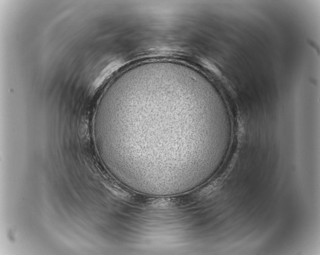 X0000099541259200805301453