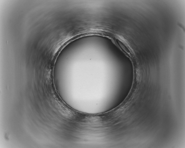 X0000099541260200805301453