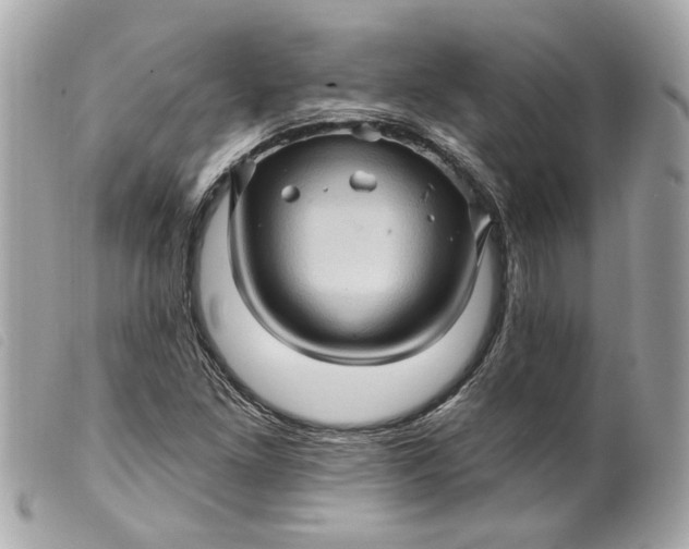 X0000099541261200805301453