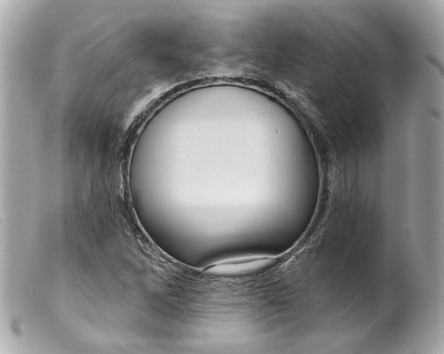 X0000099541262200805301453