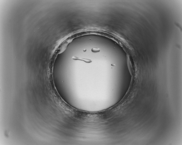 X0000099541264200805301453