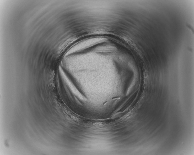 X0000099541265200805301453