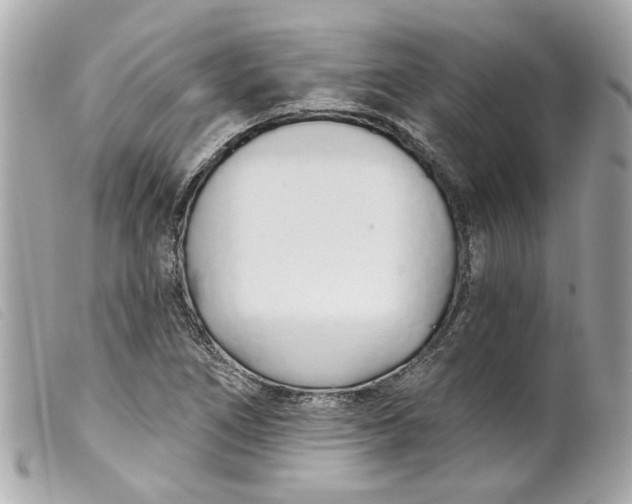 X0000099541266200805301453