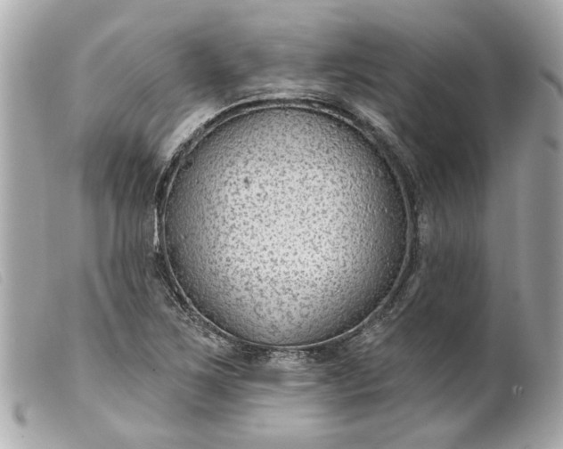 X0000099541267200805301453