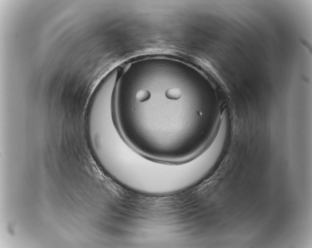 X0000099541268200805301453