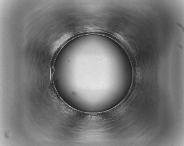 X0000099541269200805301453