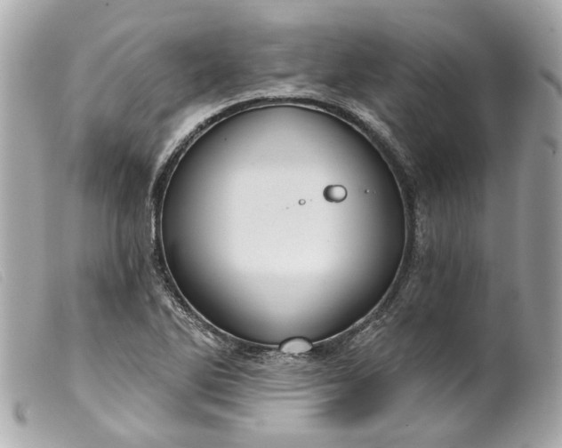 X0000099541270200805301453