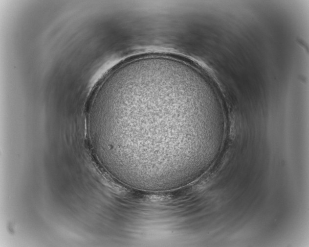 X0000099541271200805301453