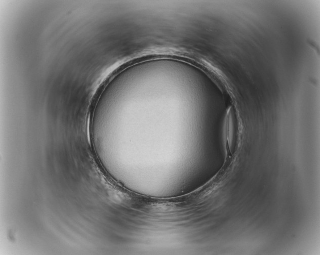 X0000099541272200805301453