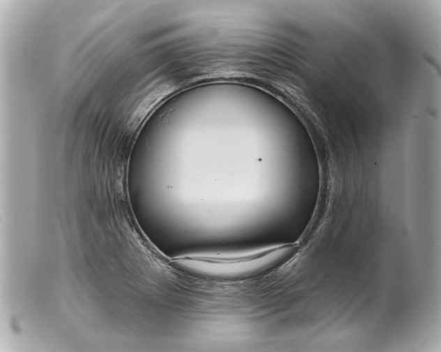 X0000099541273200805301453