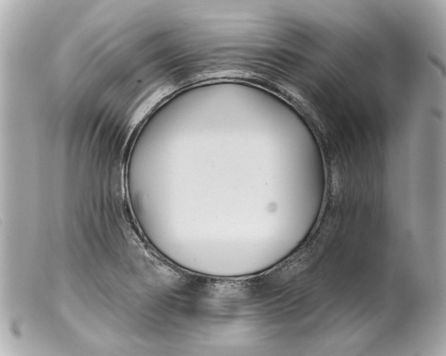 X0000099541274200805301453