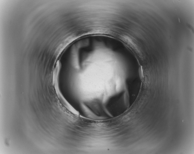 X0000099541276200805301453