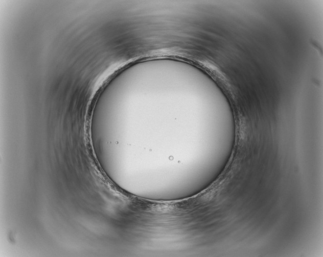 X0000099541278200805301453