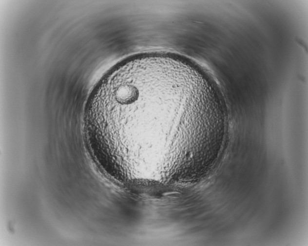 X0000099541279200805301453