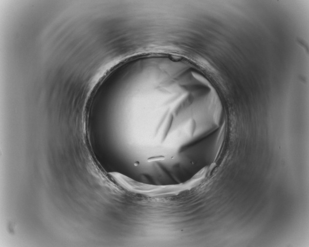 X0000099541280200805301453