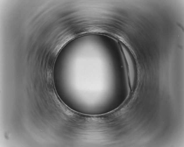 X0000099541281200805301453