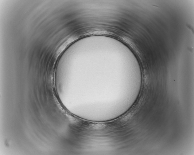 X0000099541282200805301453