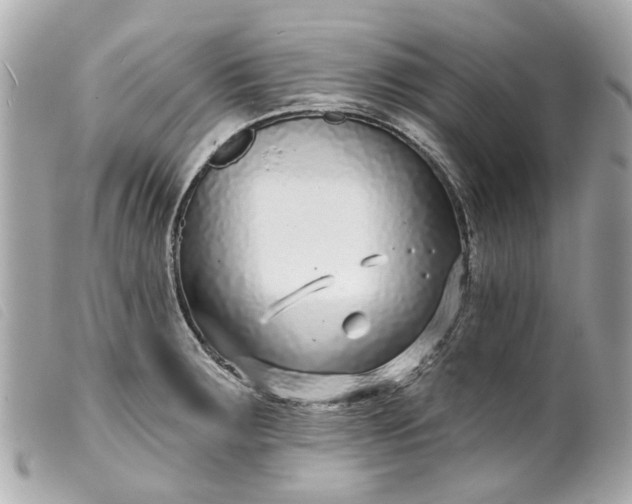 X0000099541283200805301453