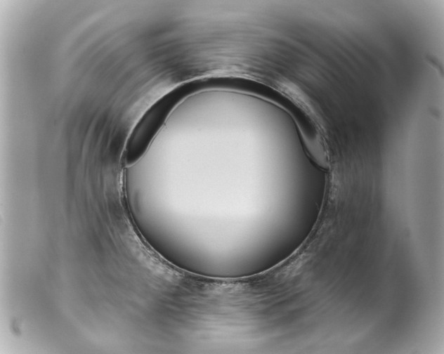 X0000099541284200805301453