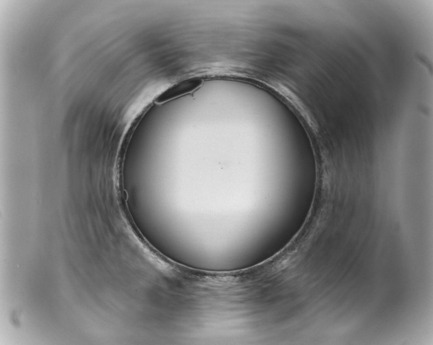 X0000099541285200805301453