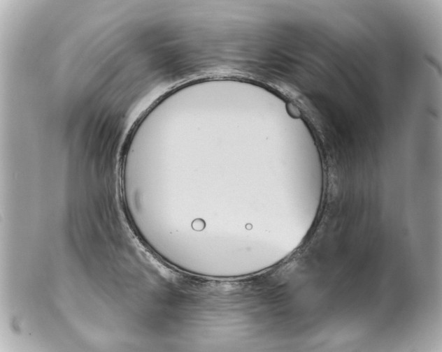 X0000099541286200805301453