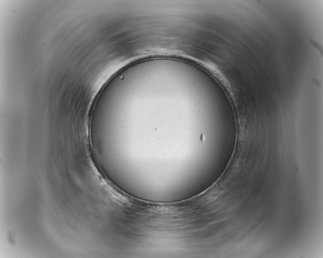 X0000099541287200805301453