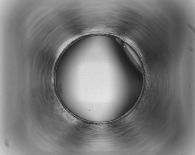 X0000099541288200805301453